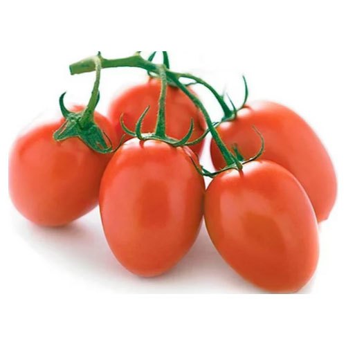 Tomato Hybrid