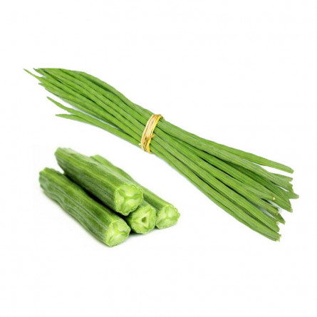 Drum Stick