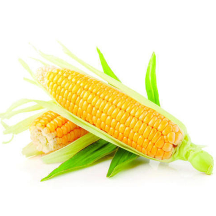 Sweet Corn