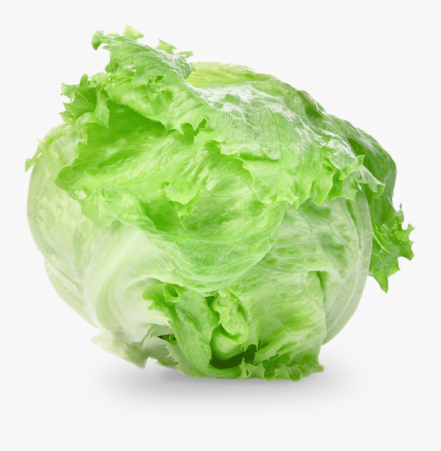 Lettuce Iceberg Ball