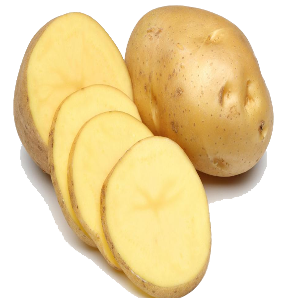 Potato