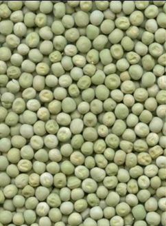 Green Batana 250 gms