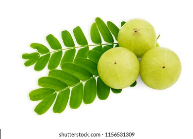 AMLA
