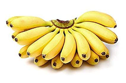 BANANA ROBUSTA