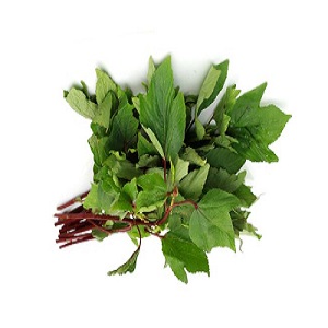 Sorrel Leaves (Gongura)