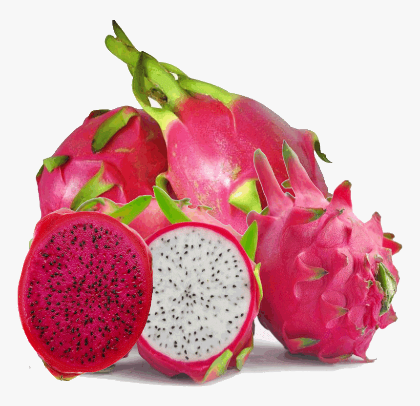 Dragon Fruit