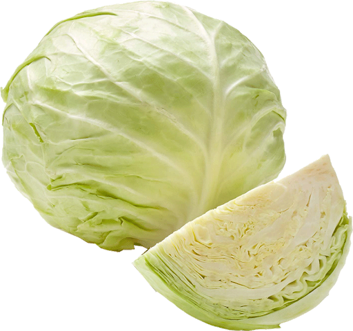 Cabbage