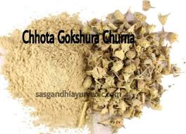 Jains Gokhru Powder 100 gms