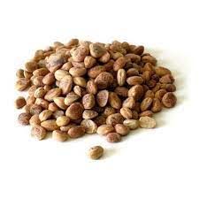 Tip Top Chironji 10 gms
