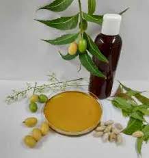 Goshala Neem Oil 100 ml