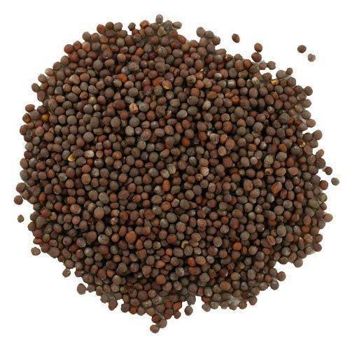 Tip Top Small Rai 50 gms