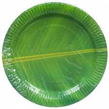 Origami Printed Paper Plates 10p