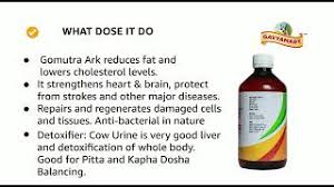 Prana Shakti Gomutra Ark 500 ml