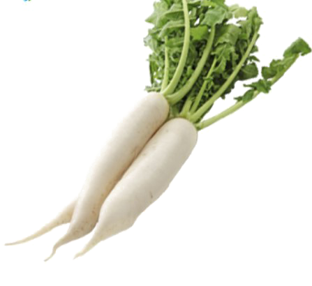 Radish