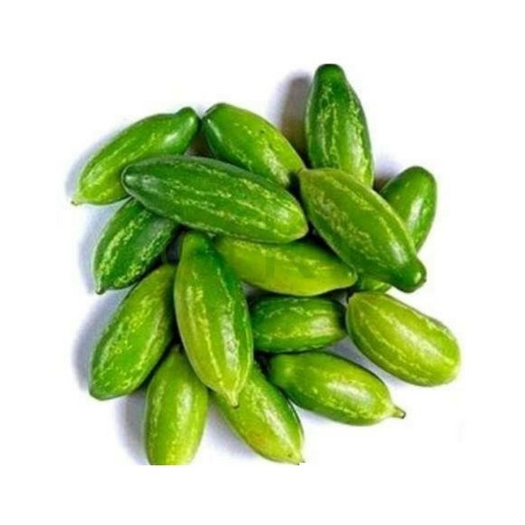 Ivy Gourd (Donda)