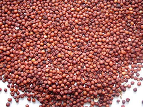 Finger Millet 1 kg (Ragulu)