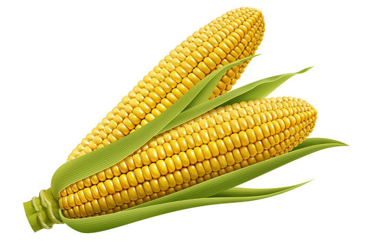 SWEET CORN SET