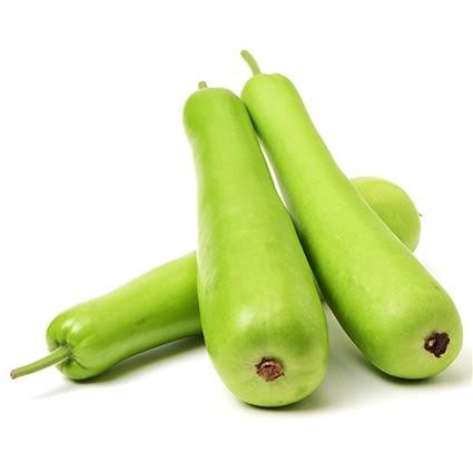 Bottle Gourd Normal