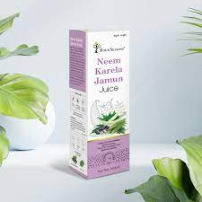 Four Seasons Neem Karela Juice 500 ml