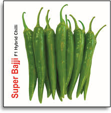BHAJJI MIRCHI