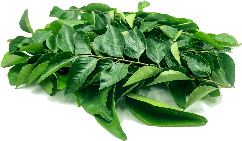 Curry Leaves (Karivepaku)