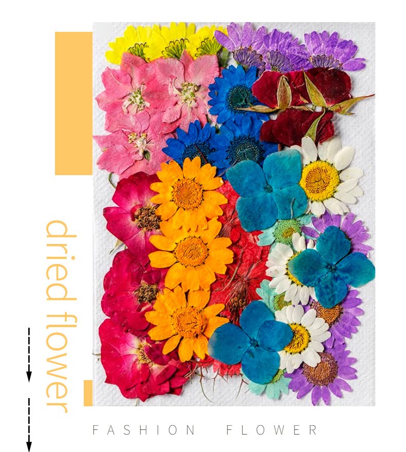 aacees flower colour dish