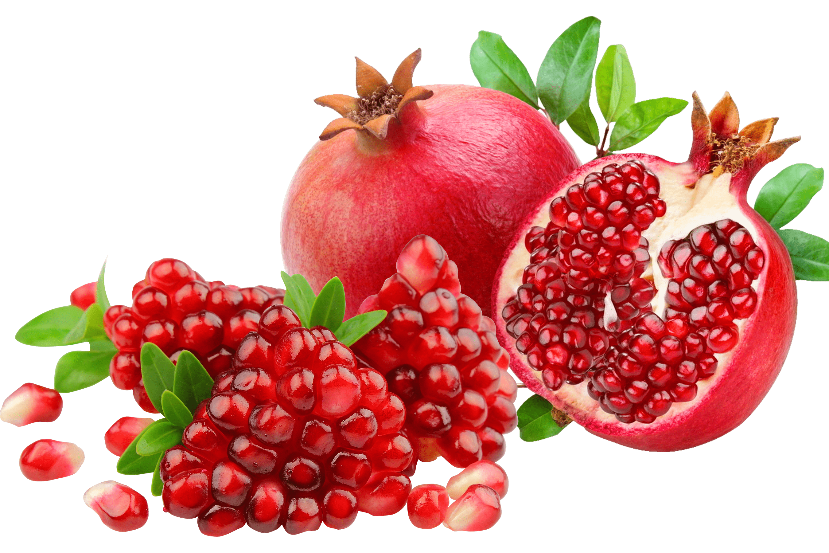 POMEGRANATE NORMAL