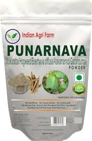 Punarnava Powder 100 g