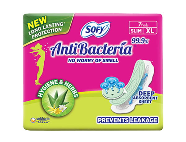 Sofy anti bacteria XL 7 pads