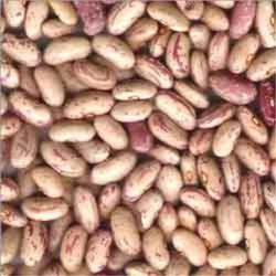 White Rajma 250 gms