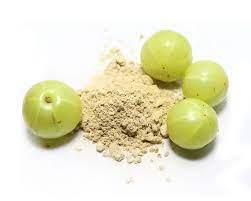 Prana Shakti Amla Churn 200 gms