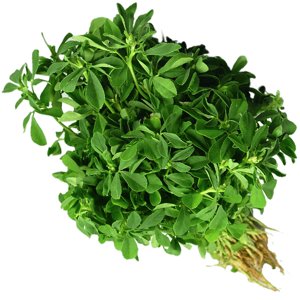 Fenugreek Leaves (Menthikura)