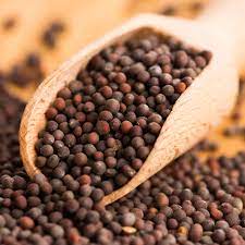 Mustard Seeds   ( big ) 100 gms