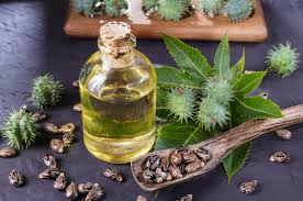 Gem Castor Oil 100 ml
