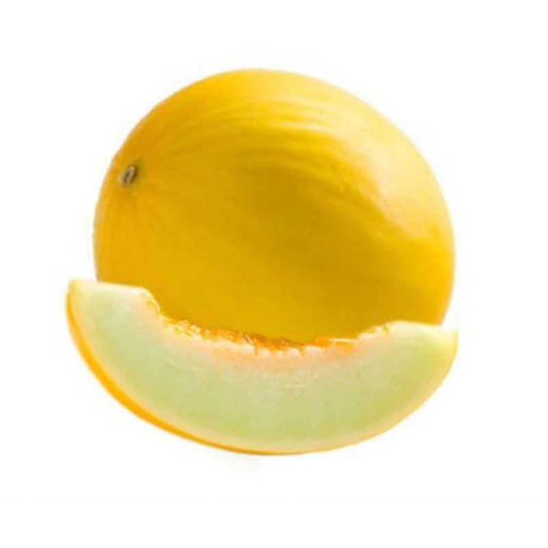 SUN MELON