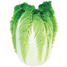 Chinese Cabage