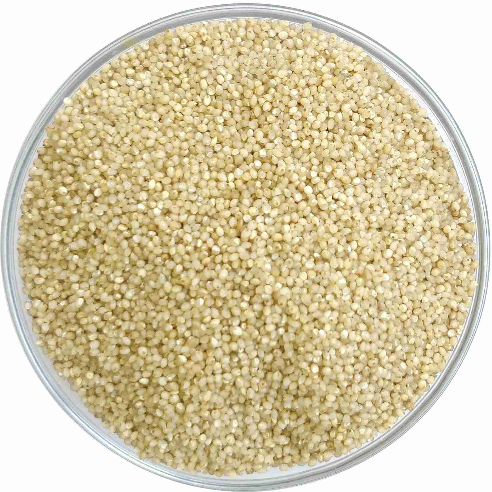 Little millet 1 kg