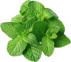 Mint Leaves (Pudina)